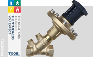 �ӑB(t��i)���������