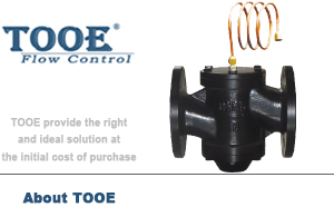 ����ʽ��������y