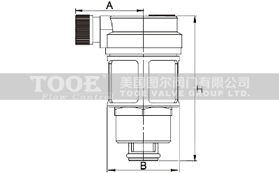 ���P��Ԅ��Ś��y�ߴ�