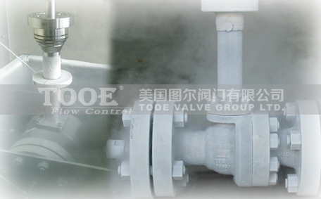 �M�ڵ͜����y