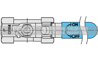 һƬʽ���P����y�Y��