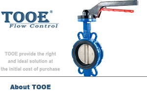 ܛ�ܷ��քӌ��A���y