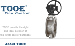 ��ƫ���p���ܷⷨ�m���y