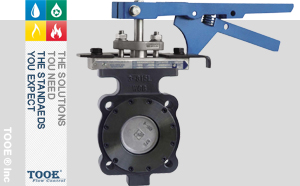 進(jìn)口手動(dòng)雙偏心高性能蝶閥 進(jìn)口手動(dòng)雙偏心高性能蝶閥