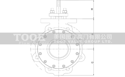 手動(dòng)凸耳雙偏心高性能蝶閥結(jié)構(gòu)尺寸 手動(dòng)凸耳雙偏心高性能蝶閥結(jié)構(gòu)尺寸