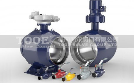 �M�ں������y