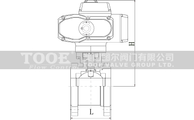 電動對夾式球閥結(jié)構(gòu)尺寸CAD圖紙 電動對夾式球閥結(jié)構(gòu)尺寸CAD圖紙