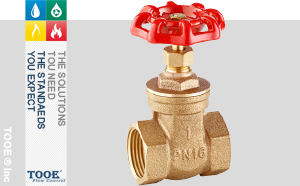 �M���~�l�y