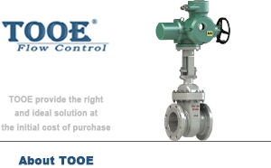 電動(dòng)法蘭閘閥 電動(dòng)法蘭閘閥