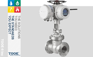 進(jìn)口電動(dòng)法蘭閘閥 進(jìn)口電動(dòng)法蘭閘閥