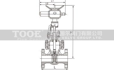 電動(dòng)法蘭閘閥結(jié)構(gòu)尺寸CAD圖紙 電動(dòng)法蘭閘閥結(jié)構(gòu)尺寸CAD圖紙