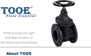 �T�F���m�l�y