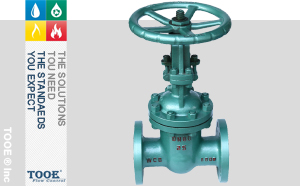 �M(j��n)���ք�(d��ng)����l�y