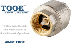 立式絲扣銅止回閥 立式絲扣銅止回閥