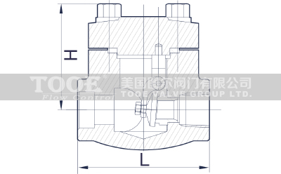 ���ܷ���ֹ���y