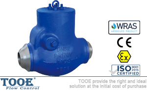 �ߜظ߉������վֹ���y