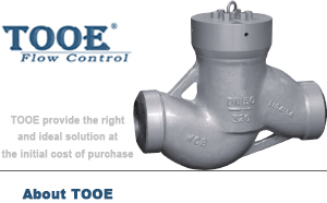 �ߜظ߉�����ʽ�վֹ���y