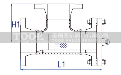 T型管道過濾器結(jié)構(gòu)尺寸CAD圖紙 T型管道過濾器結(jié)構(gòu)尺寸CAD圖紙
