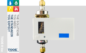 �M�ډ��������