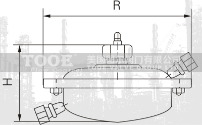 自力式流量調(diào)節(jié)閥結(jié)構(gòu)尺寸CAD圖紙 自力式流量調(diào)節(jié)閥結(jié)構(gòu)尺寸CAD圖紙