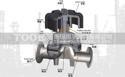 �M���ք��l(w��i)������Ĥ�y