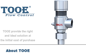 A21F/H/Y/W΢��ʽ���ɰ�ȫй���y