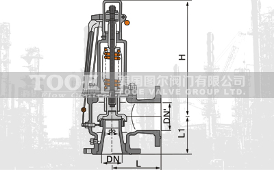 �_���͏���ȫ��ʽй����ȫ�y���g(sh��)����(sh��)