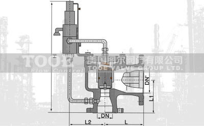 �Ȍ�ʽй����ȫ�y���g����(sh��)