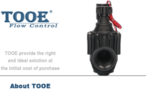 �����ͨ늴ſ����y